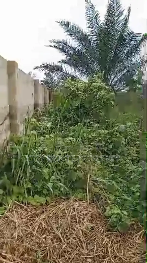 Land for Sale in Elelewo Portharcourt in Port-Harcourt