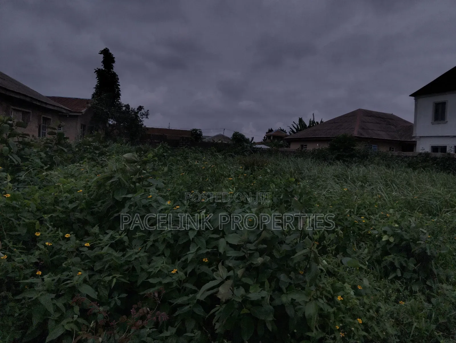Full Plot of Land at Olugbode in a Very Decent Area in Ayobo