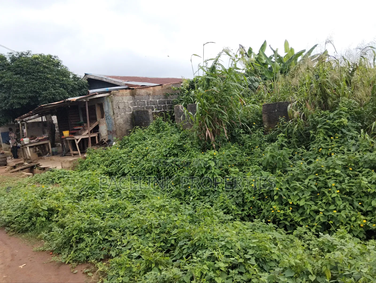 Half Plot of Land in a Very Decent Area Dry Land in Ayobo