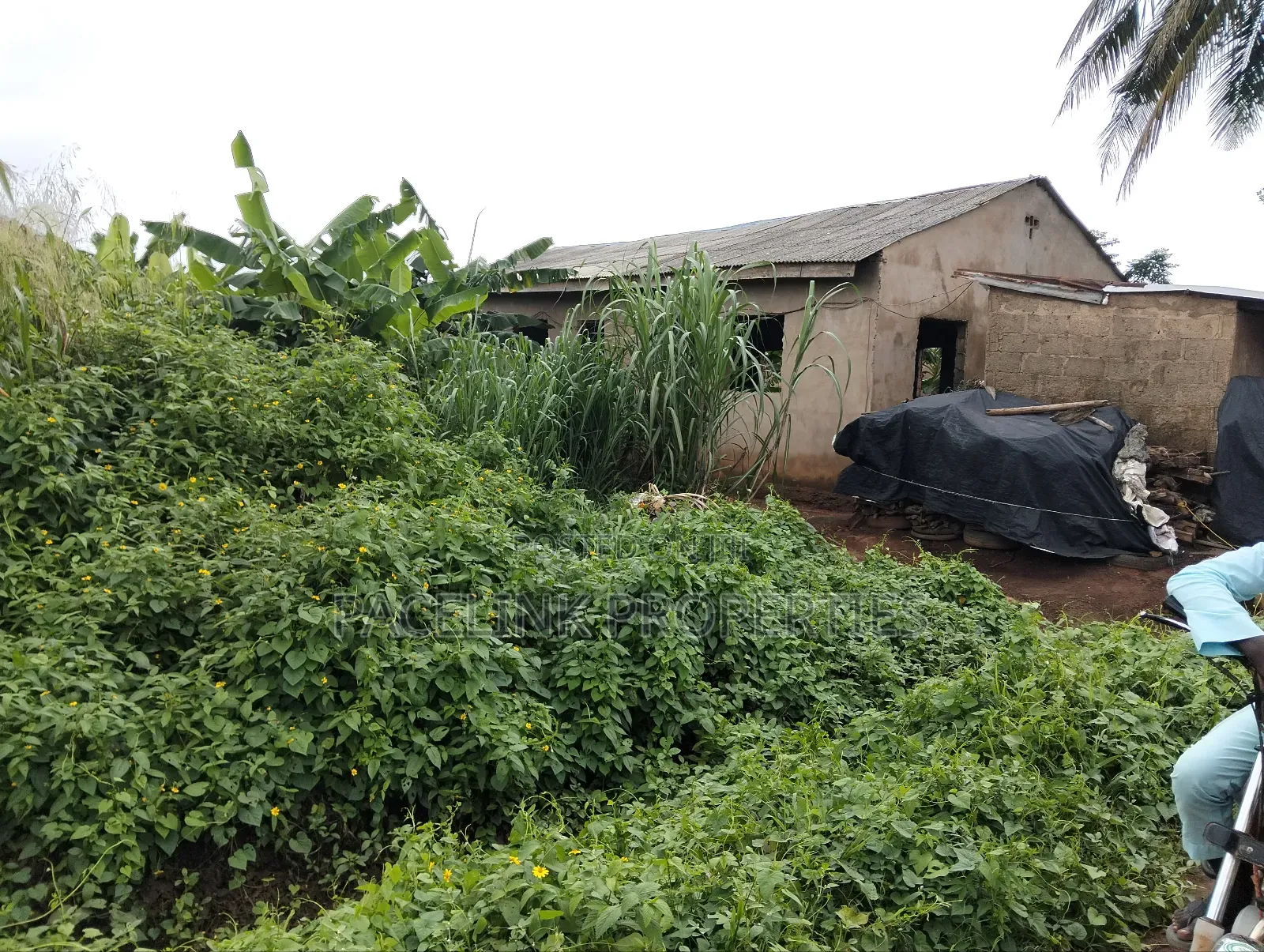 Half Plot of Land in a Very Decent Area Dry Land in Ayobo