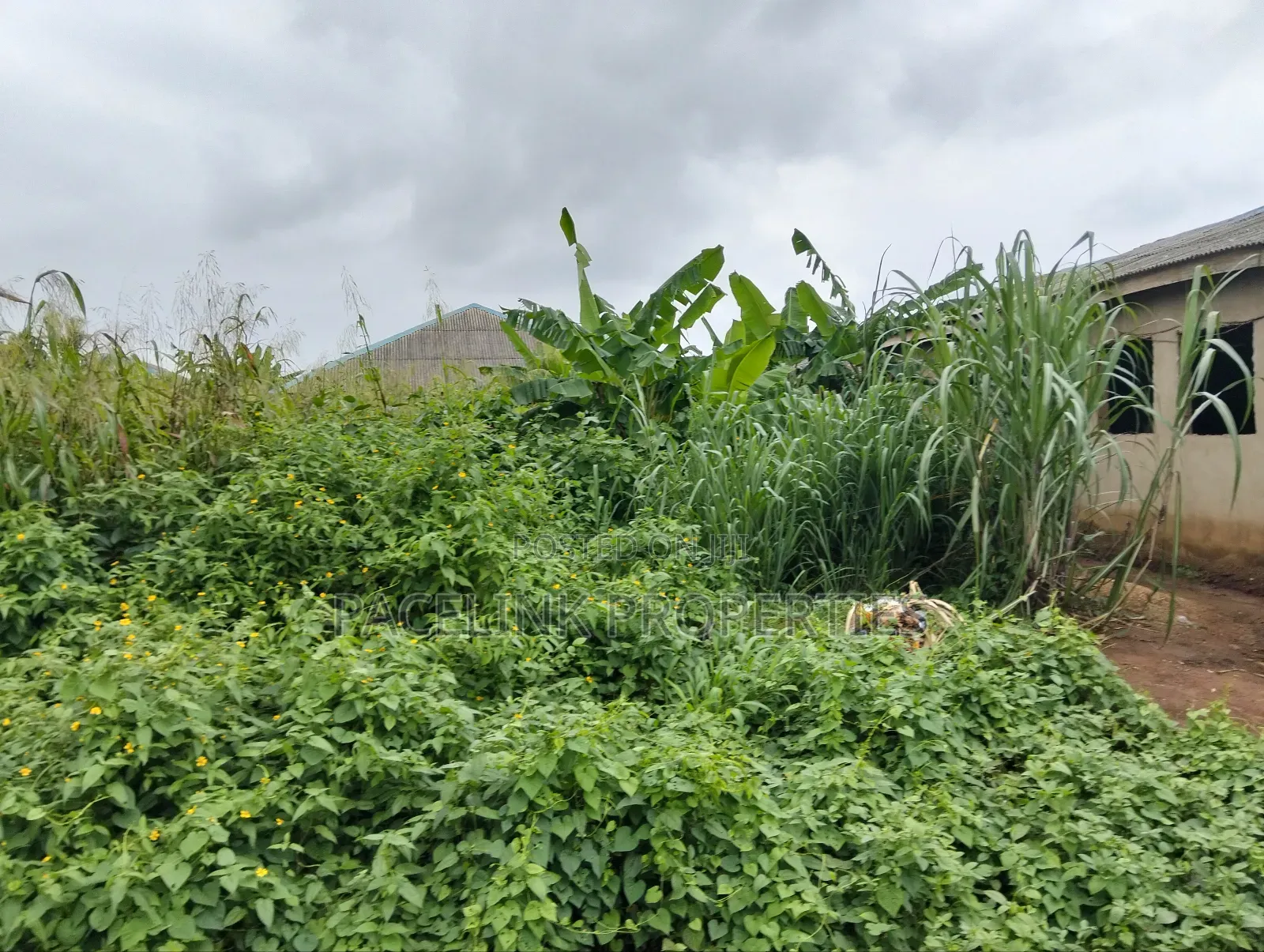 Half Plot of Land in a Very Decent Area Dry Land in Ayobo