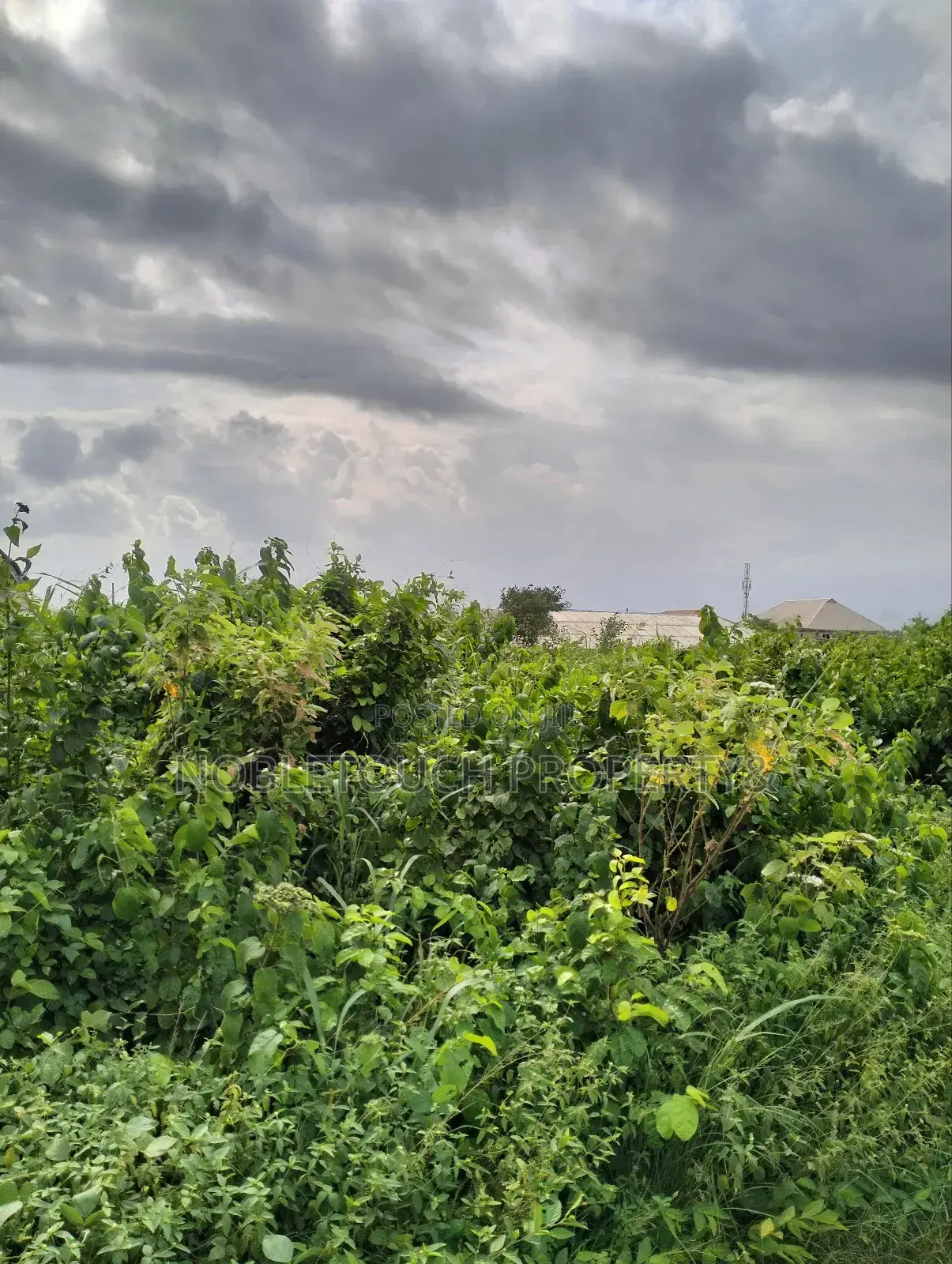 6plots Together Dry Table Land at Ota Ogun State in Ifo