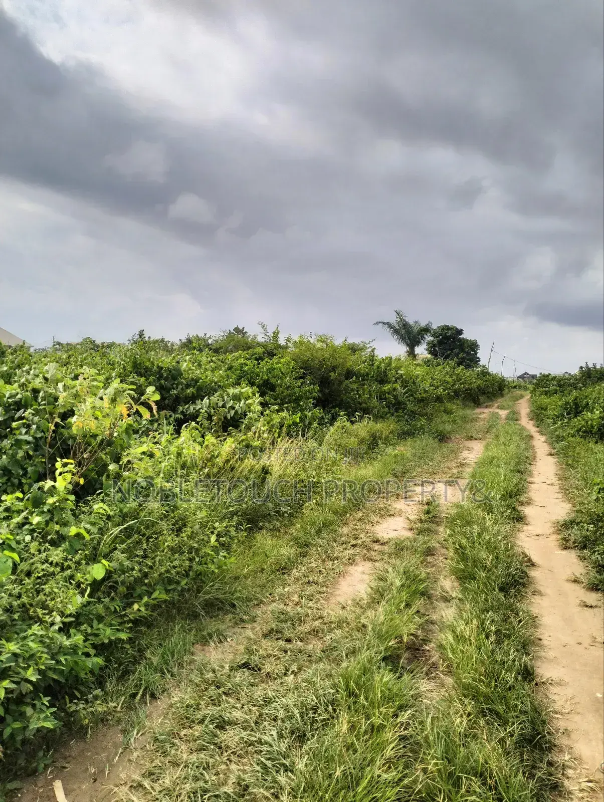 6plots Together Dry Table Land at Ota Ogun State in Ifo