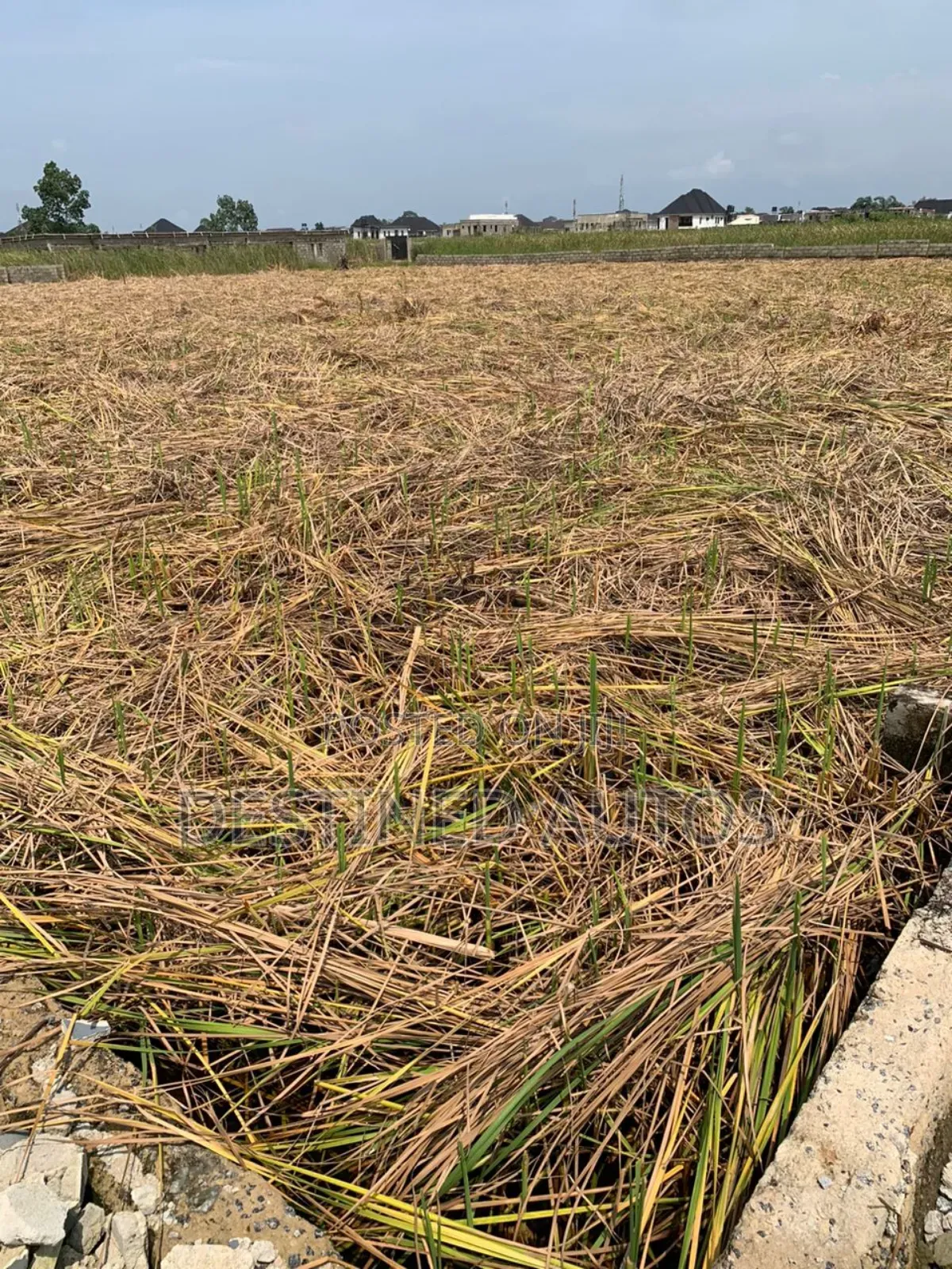 6 Plots of Land in Sun View Estate Ajah in Ajah