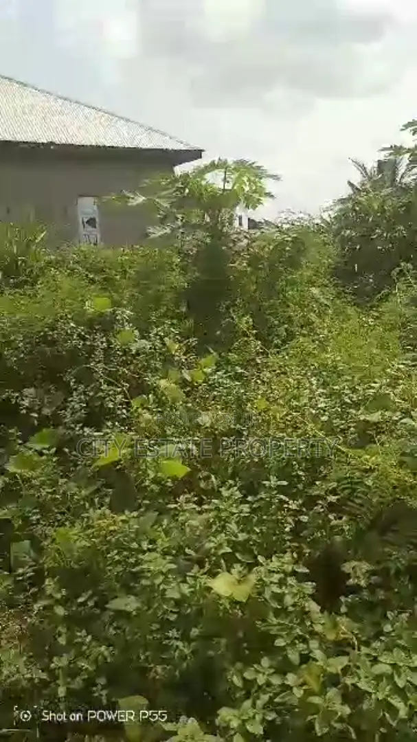 One Plot of Land for Sale in Portharcourt in Port-Harcourt