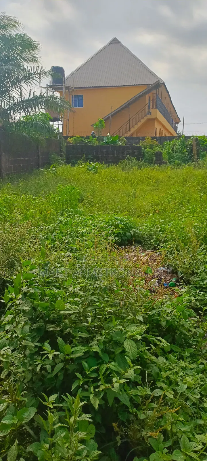 A Very Good Commerical 2plots of Facing Major Road in Ikorodu