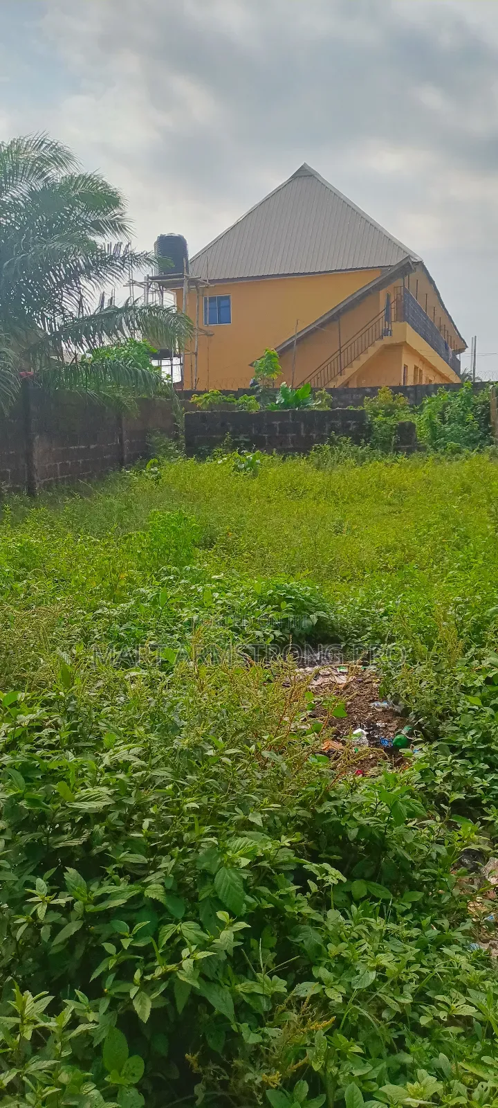 A Very Good Commerical 2plots of Facing Major Road in Ikorodu