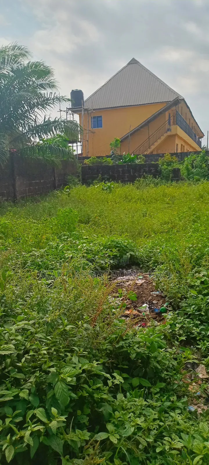 A Very Good Commerical 2plots of Facing Major Road in Ikorodu