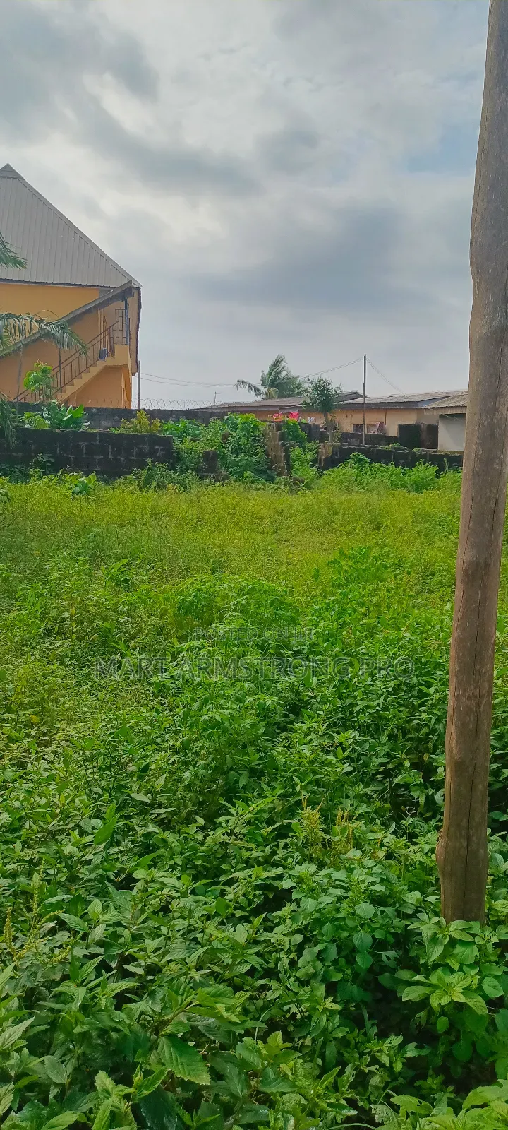A Very Good Commerical 2plots of Facing Major Road in Ikorodu