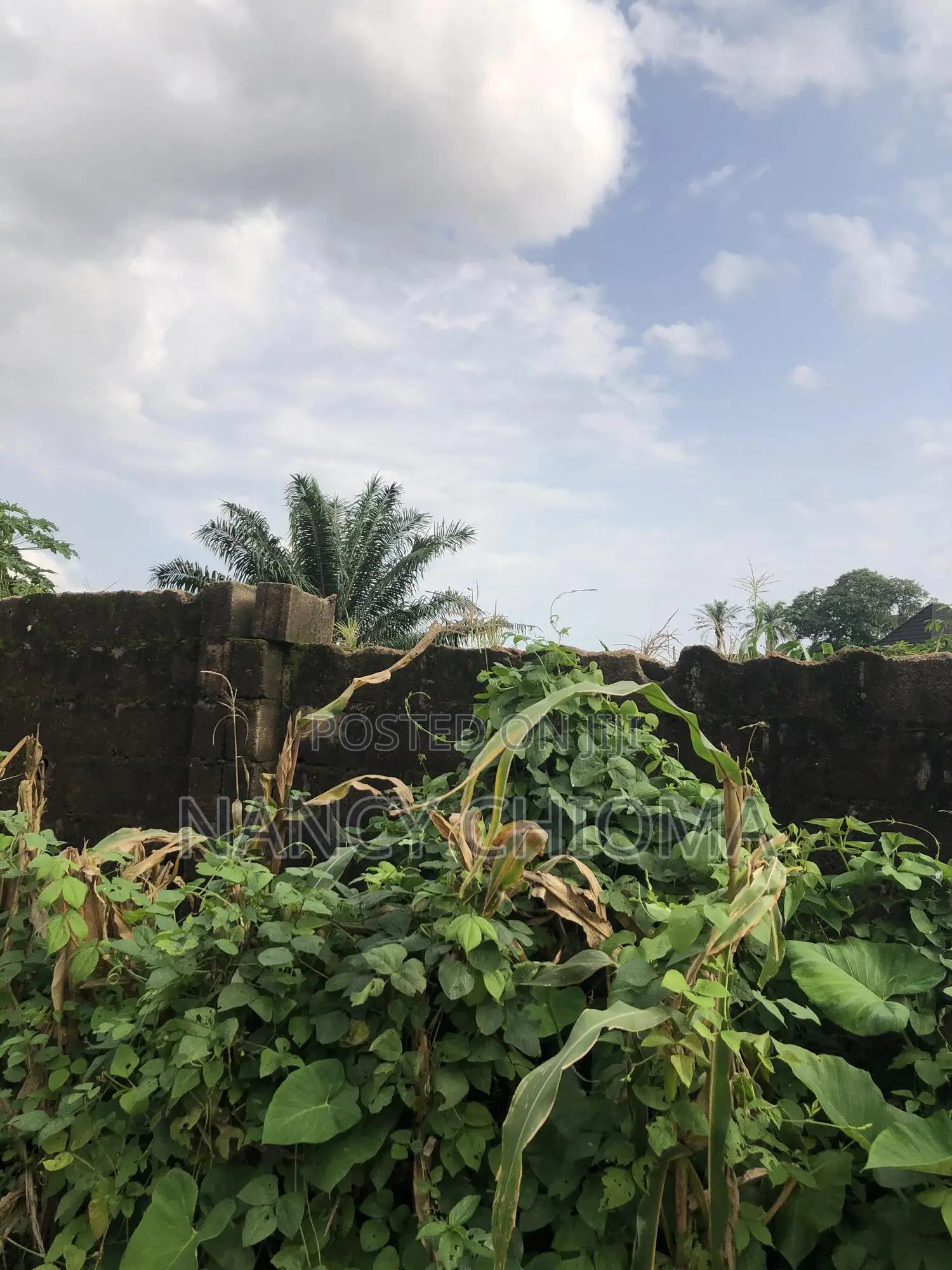 Land at Agric Quaters in Enugu