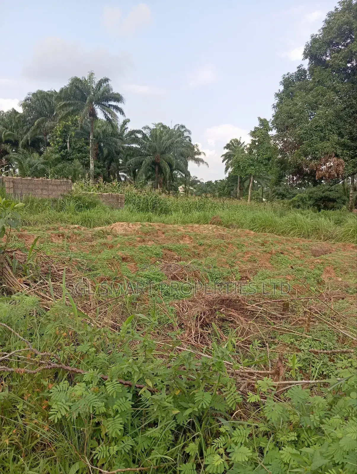 Almost 2 Plots of Land for Sale Nibo/Nise Boundary in Awka