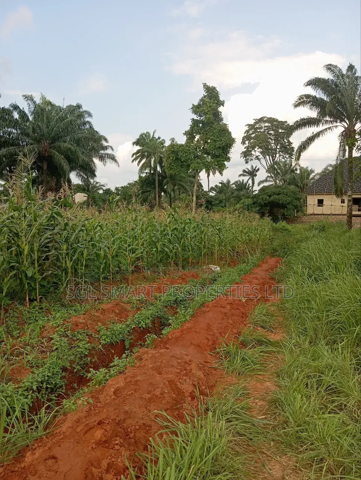 Almost 2 Plots of Land for Sale Nibo/Nise Boundary in Awka
