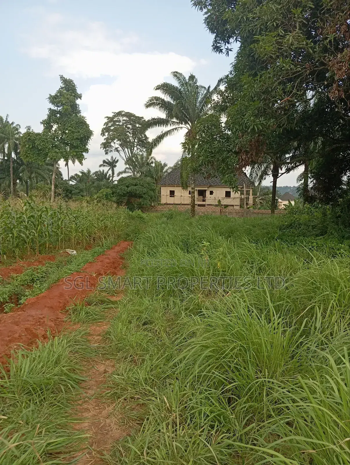 Almost 2 Plots of Land for Sale Nibo/Nise Boundary in Awka