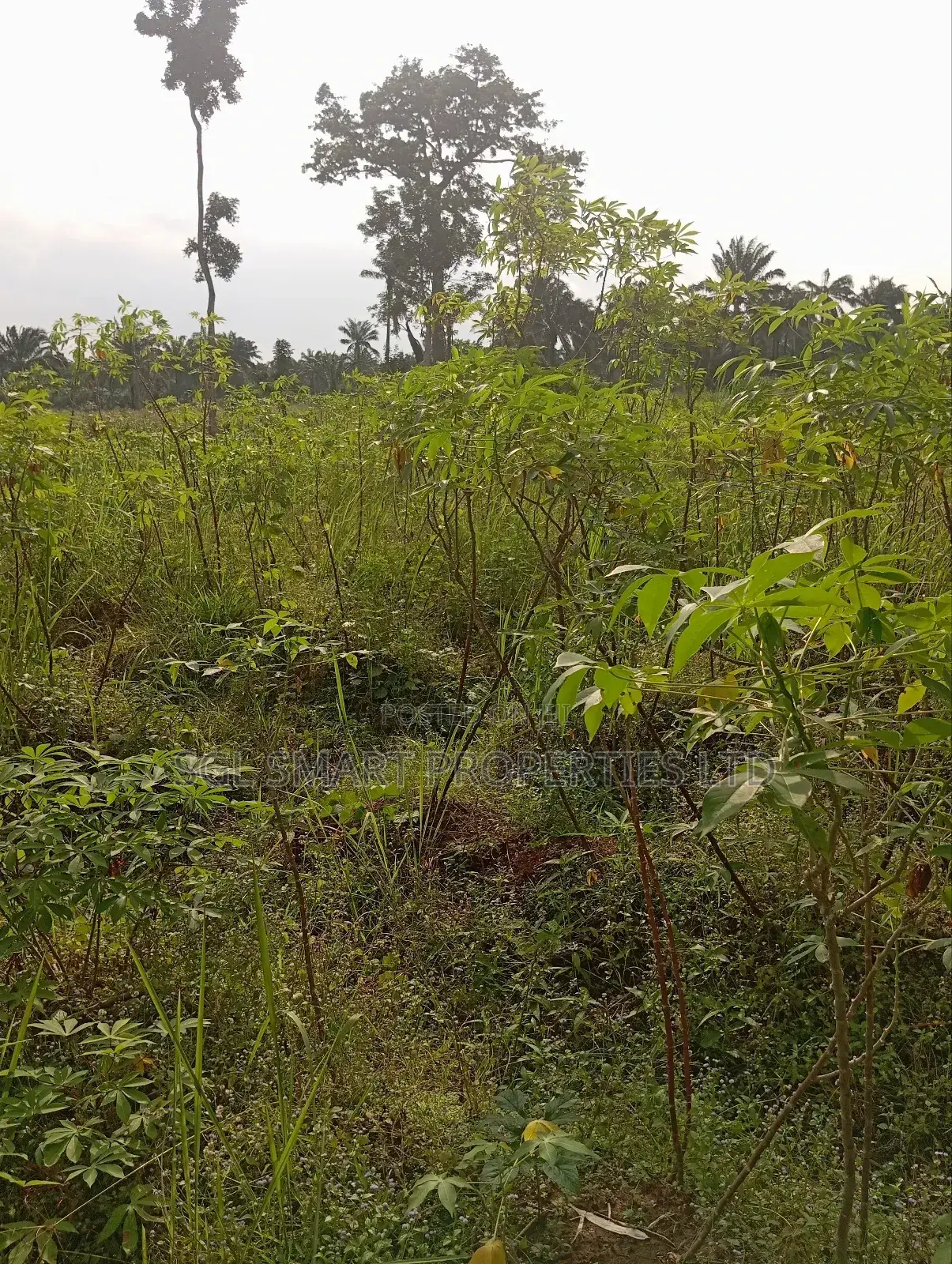 1 and Half Plots for Sale at Umuazu Nibo/Nise in Awka