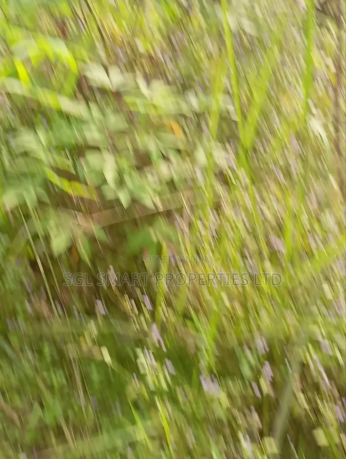 1 and Half Plots for Sale at Umuazu Nibo/Nise in Awka