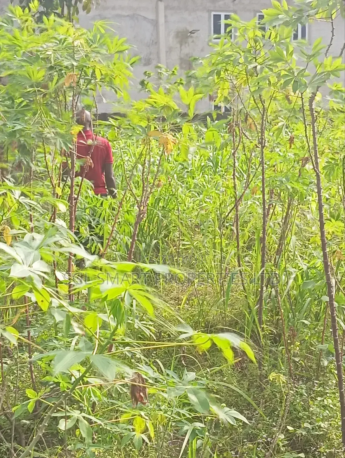 1 and Half Plots for Sale at Umuazu Nibo/Nise in Awka