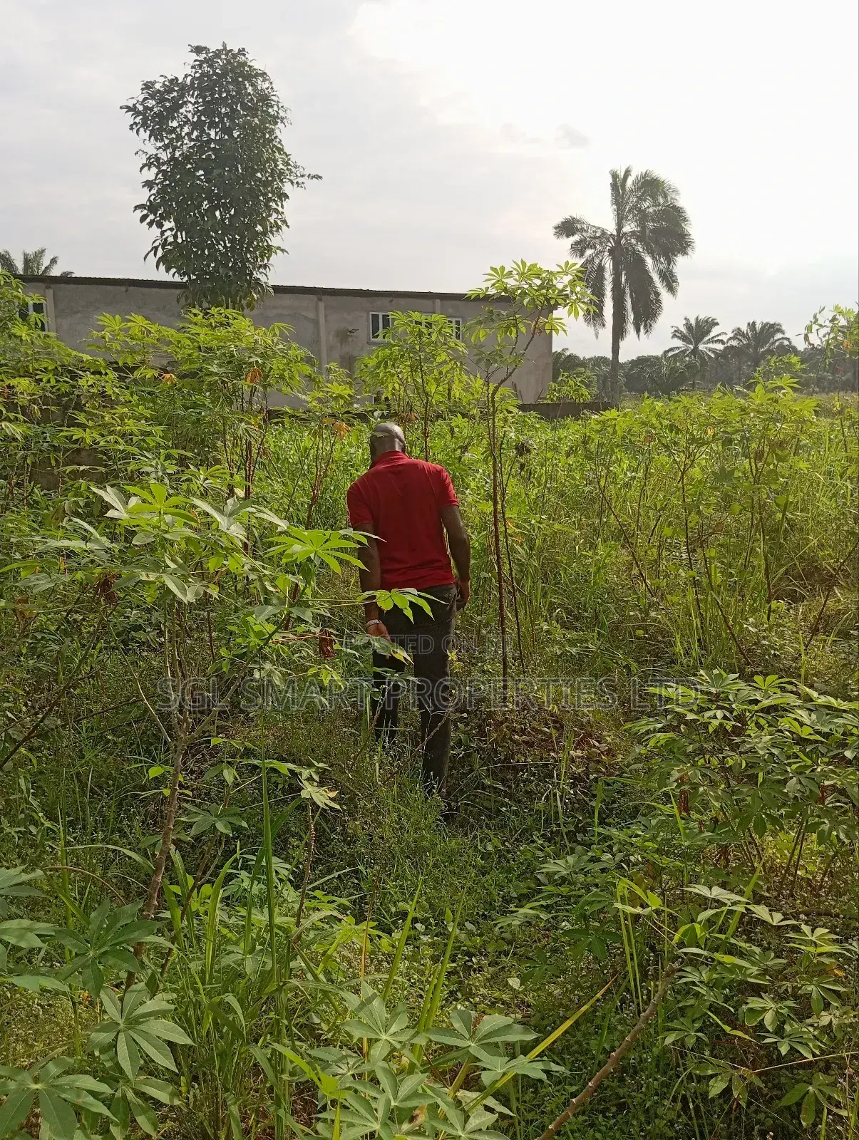 1 and Half Plots for Sale at Umuazu Nibo/Nise in Awka