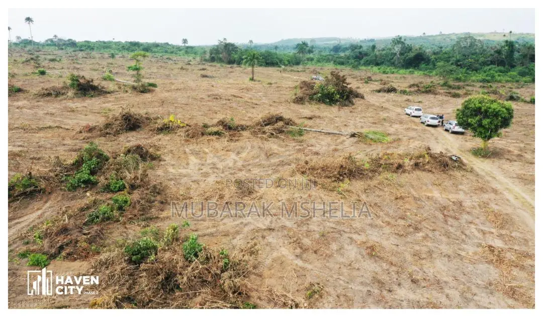Buildable and Dry Land in Epe
