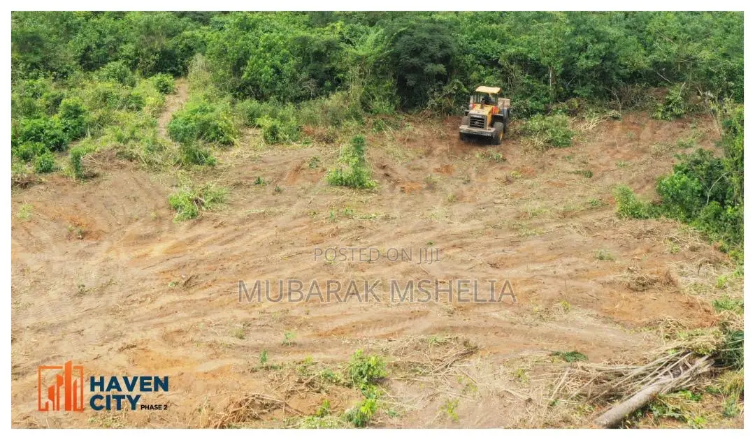Buildable and Dry Land in Epe