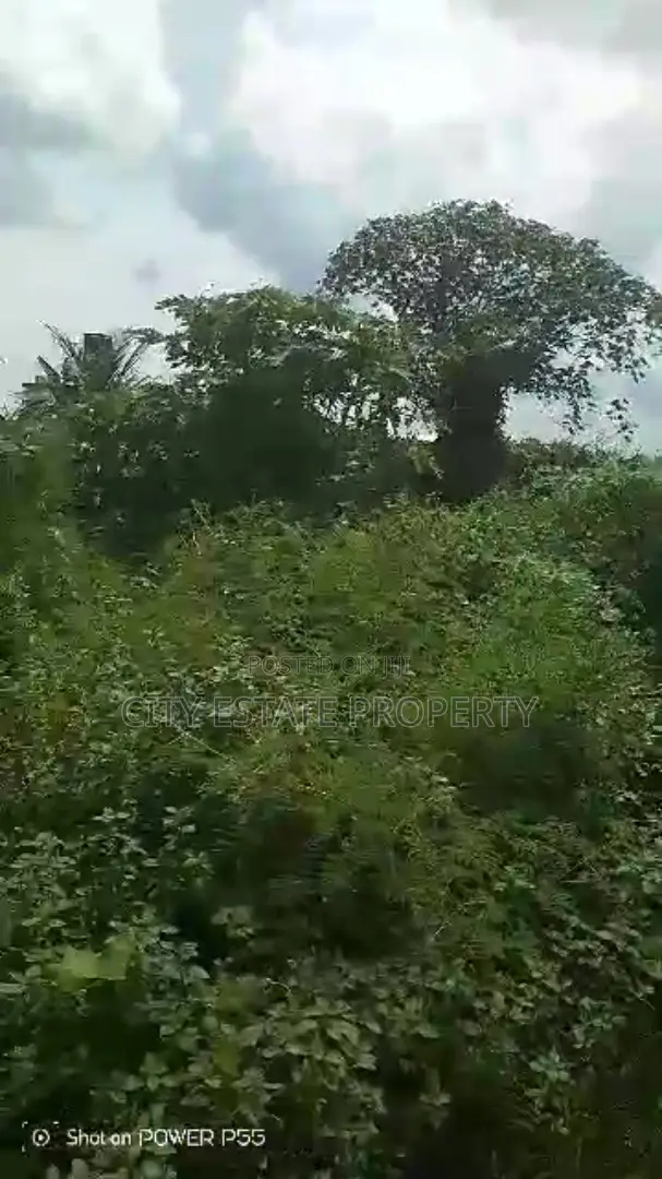 One Plot of Land for Sale in Ozuoba in Port-Harcourt