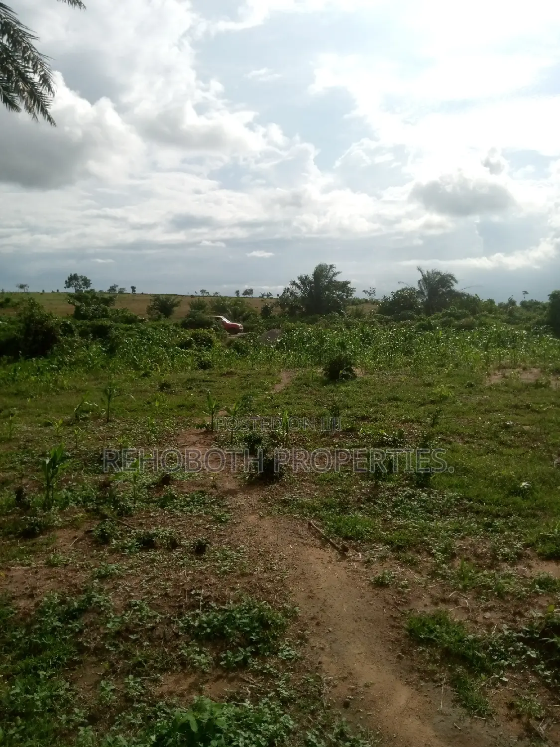 For Sales 5 and Half Acres of Farm Land . in Ibadan