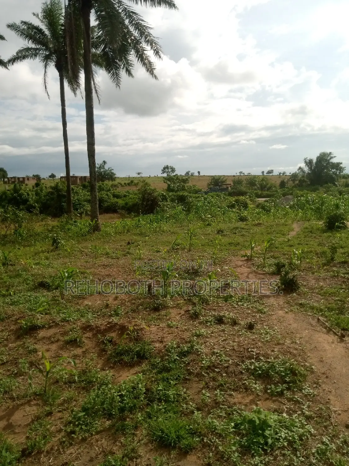 For Sales 5 and Half Acres of Farm Land . in Ibadan