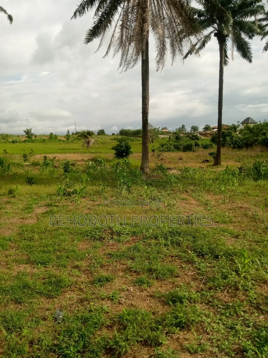 For Sales 5 and Half Acres of Farm Land . in Ibadan