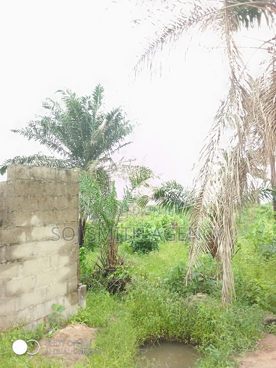 One Acre of Land at Ijeagemo in Ijegun
