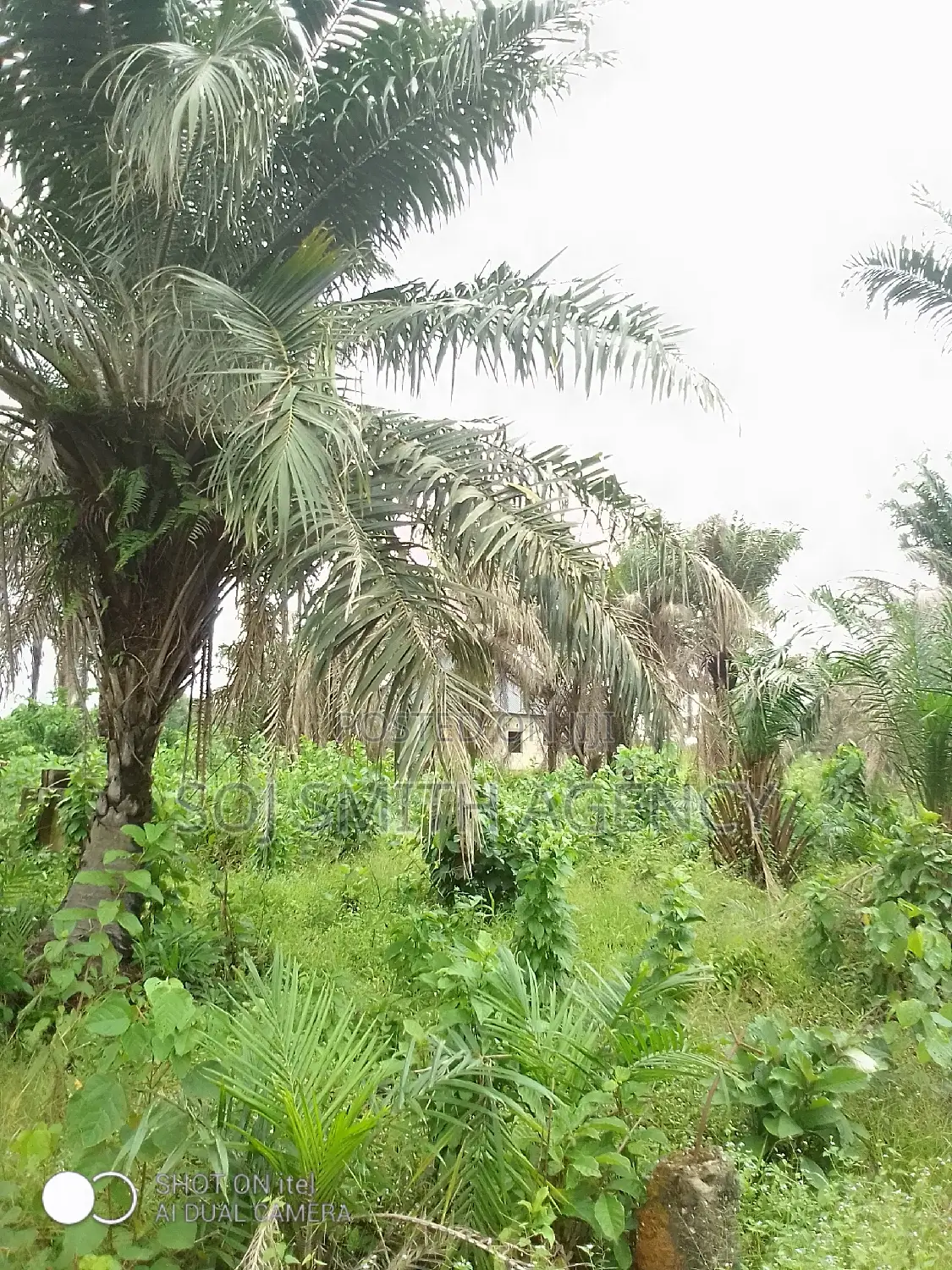 One Acre of Land at Ijeagemo in Ijegun