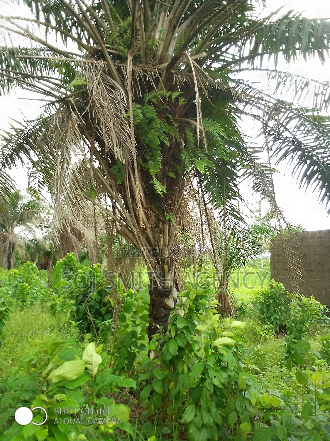 One Acre of Land at Ijeagemo in Ijegun