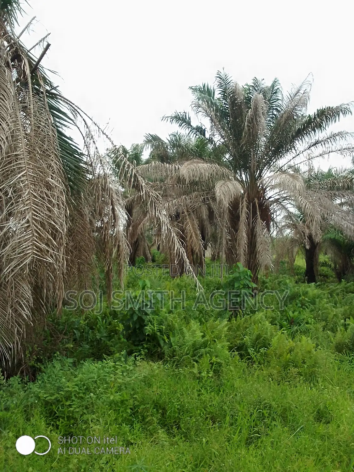 One Acre of Land at Ijeagemo in Ijegun