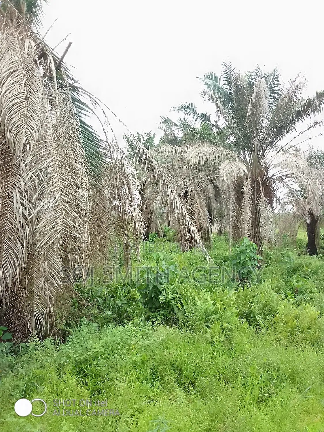 One Acre of Land at Ijeagemo in Ijegun
