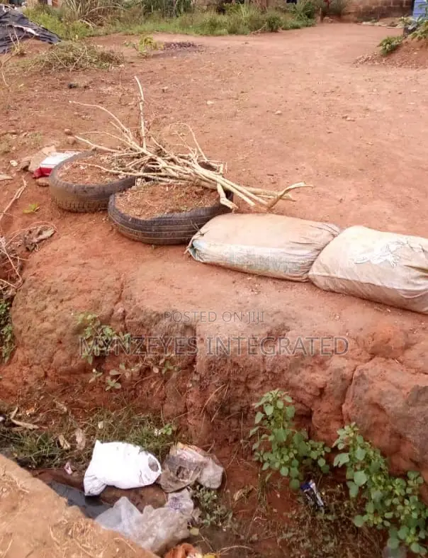 Prime 250sqm Land in Isheri Idimu, Lagos – Perfect for Resid in Isheri / Egbe Idimu