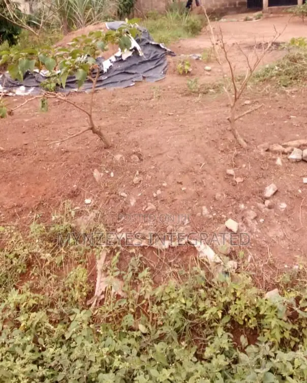 Prime 250sqm Land in Isheri Idimu, Lagos – Perfect for Resid in Isheri / Egbe Idimu