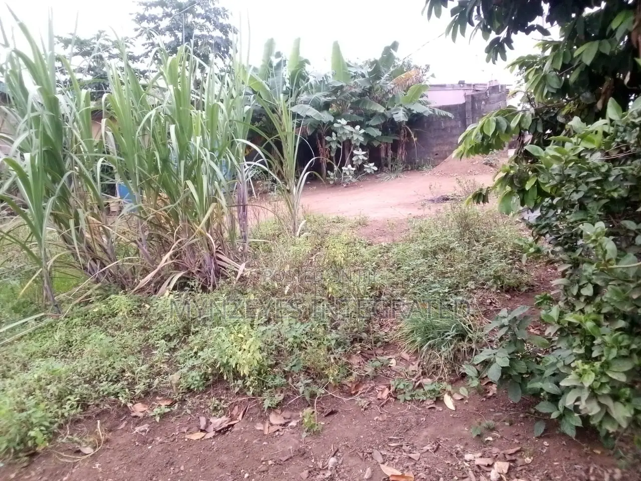 Prime 250sqm Land in Isheri Idimu, Lagos – Perfect for Resid in Isheri / Egbe Idimu