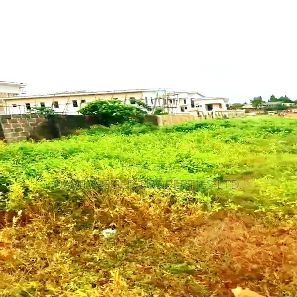 Amazing Offer, Land for Sale Along to Tarred Close in Benin City