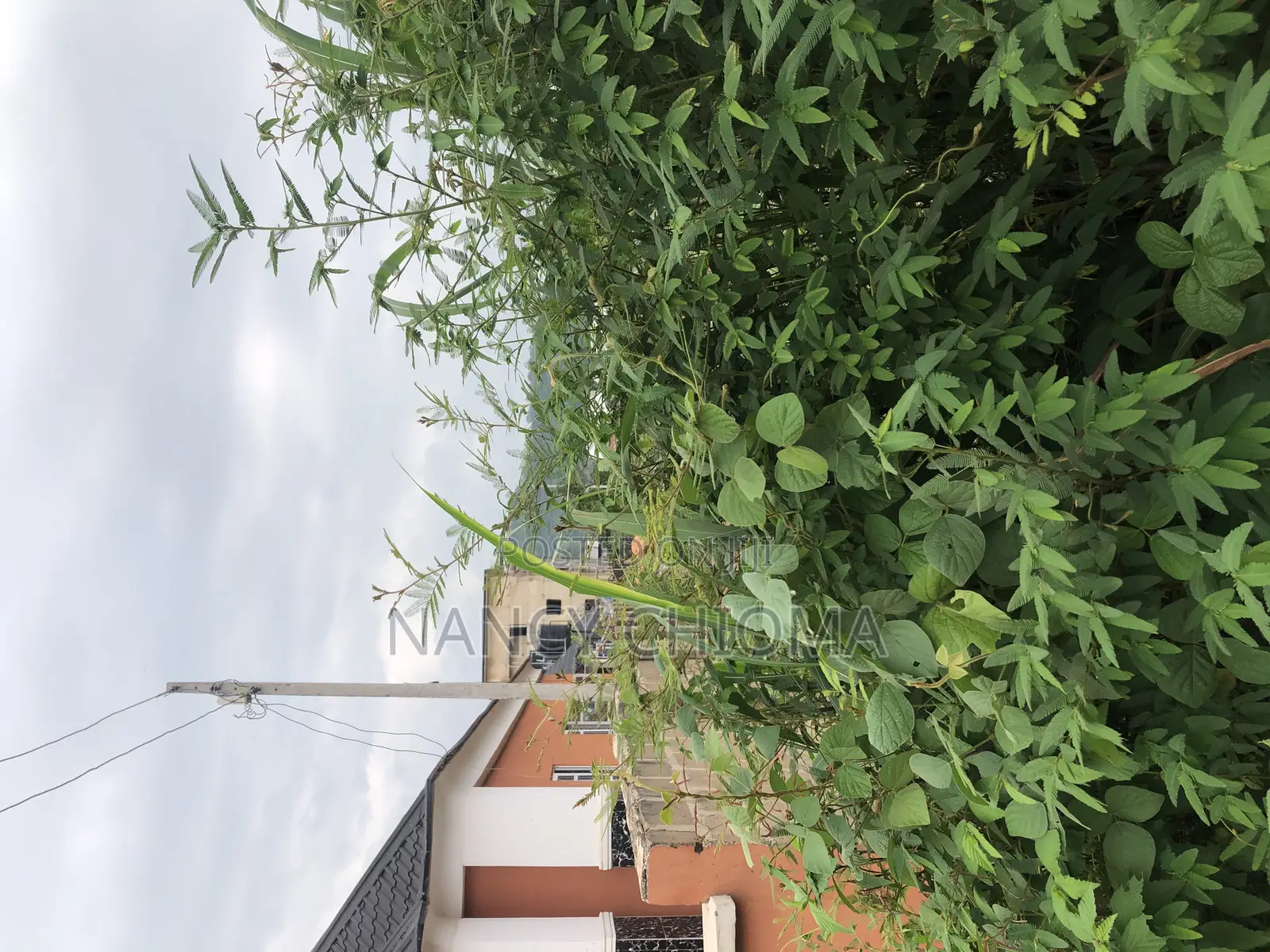 Land for Sale at at Winners Estate Transekulu in Enugu