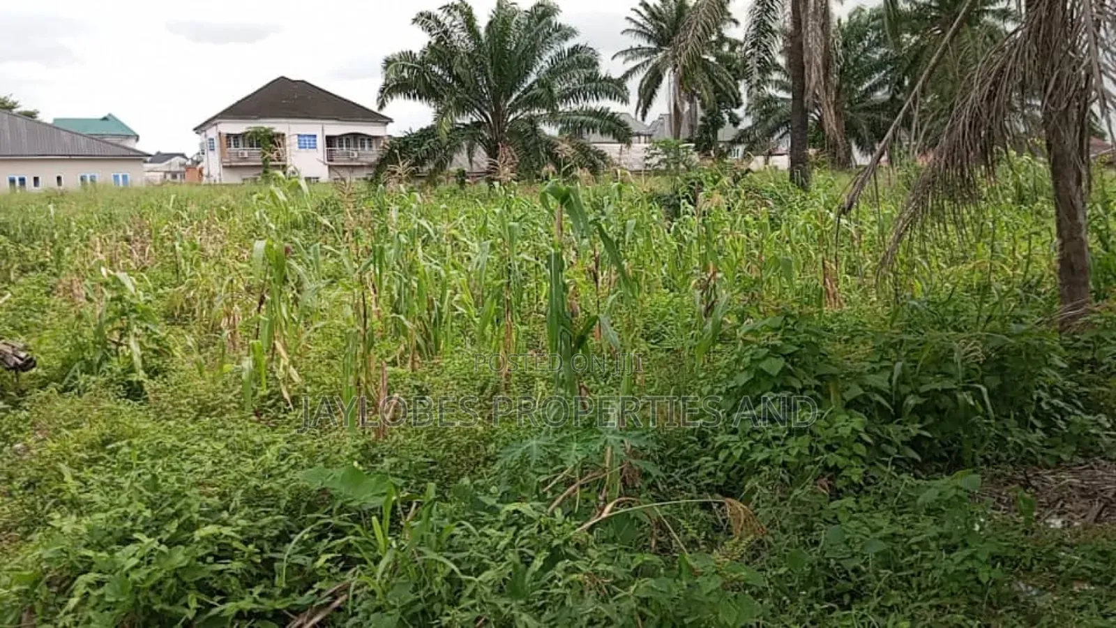 For SALE: 13 Plots of Land at Rumuodumaya, Adjacent LGA, PHC in Obio-Akpor