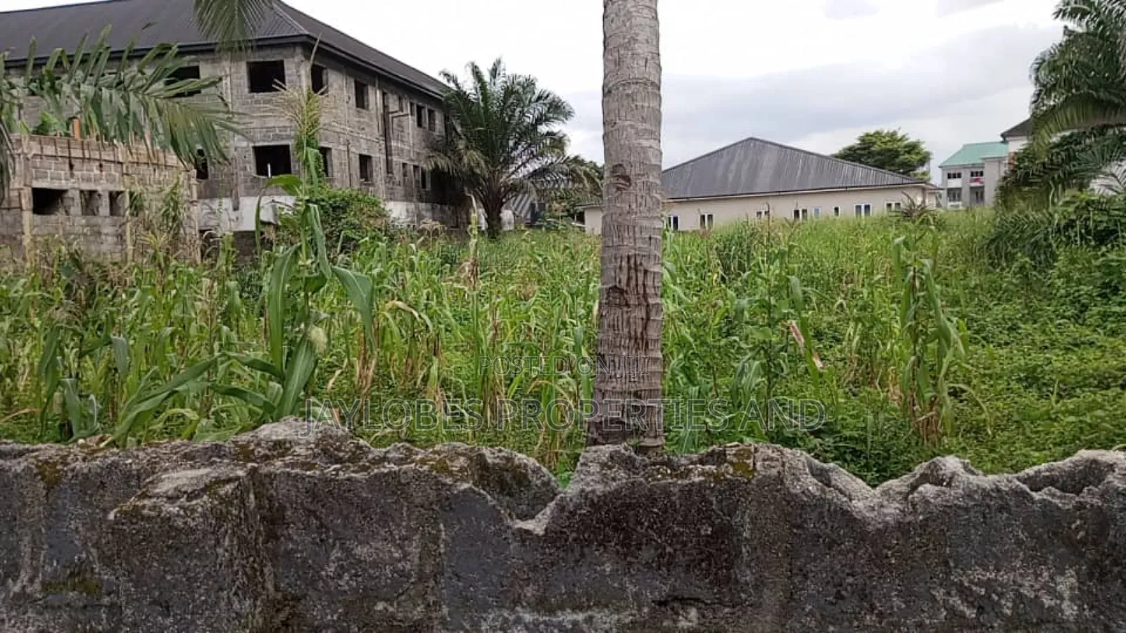 For SALE: 13 Plots of Land at Rumuodumaya, Adjacent LGA, PHC in Obio-Akpor