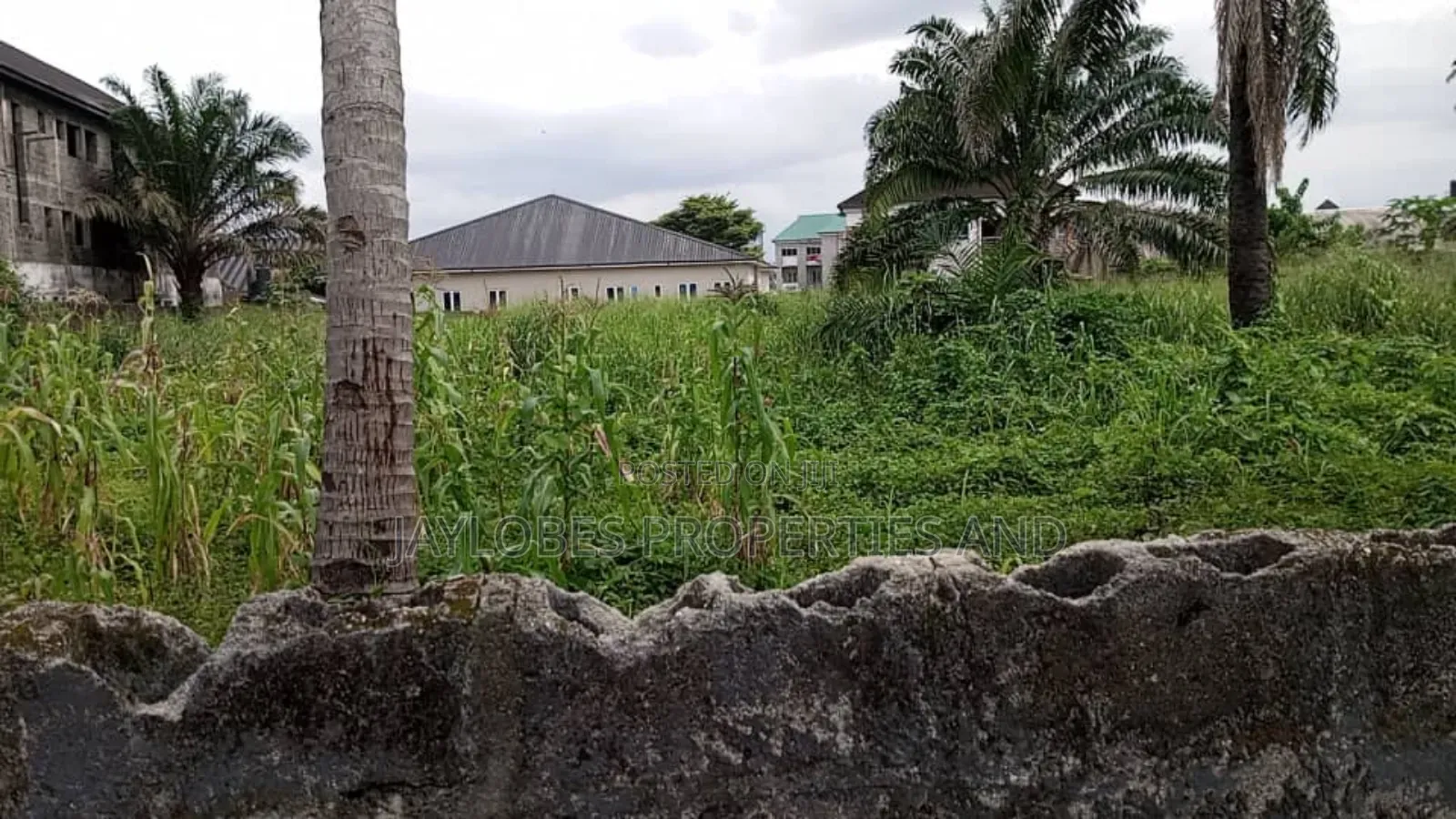 For SALE: 13 Plots of Land at Rumuodumaya, Adjacent LGA, PHC in Obio-Akpor