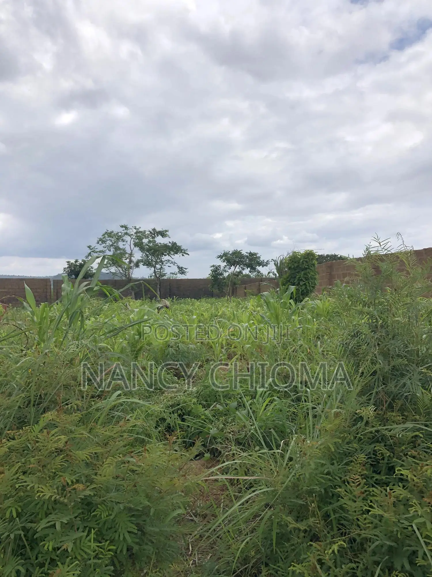 Land at Transekulu, Blossom Estate in Enugu