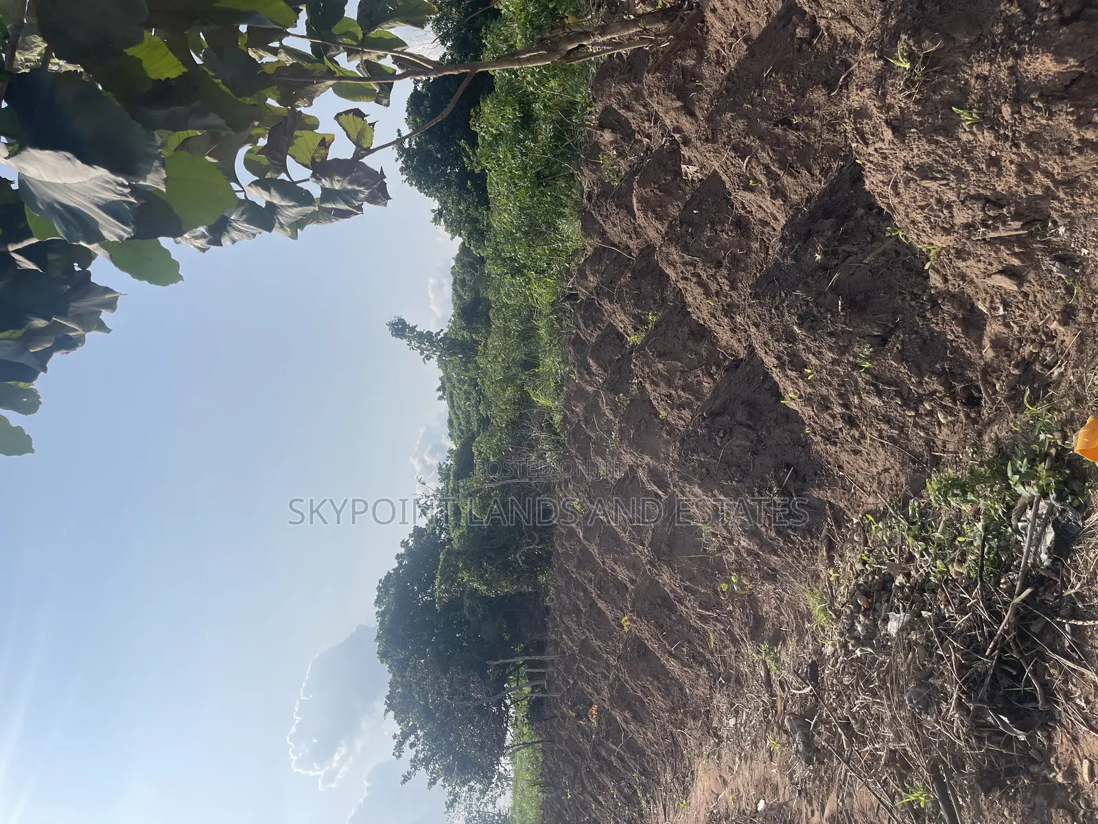 70 Acres of Land for Sale at Km13 Off Iseyin/Ibadan in Iseyin