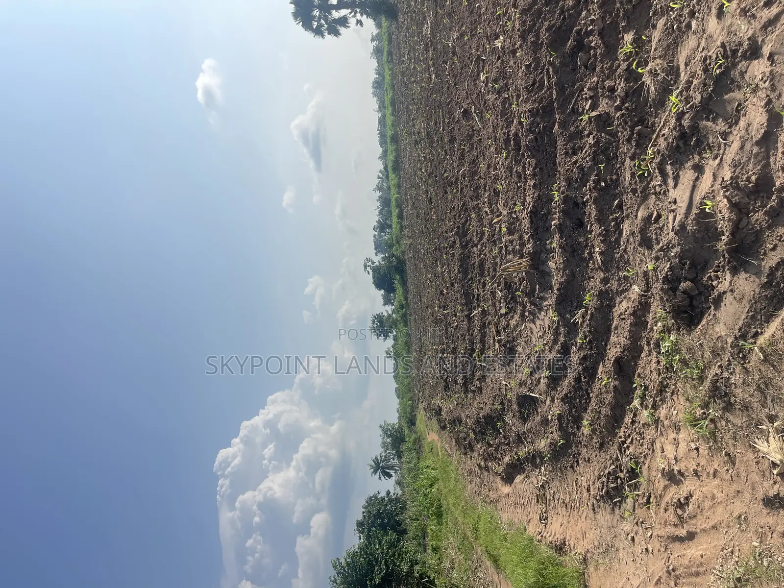 200 Acres of Farmland at Okaka, Itesiwaju LGA in Itesiwaju