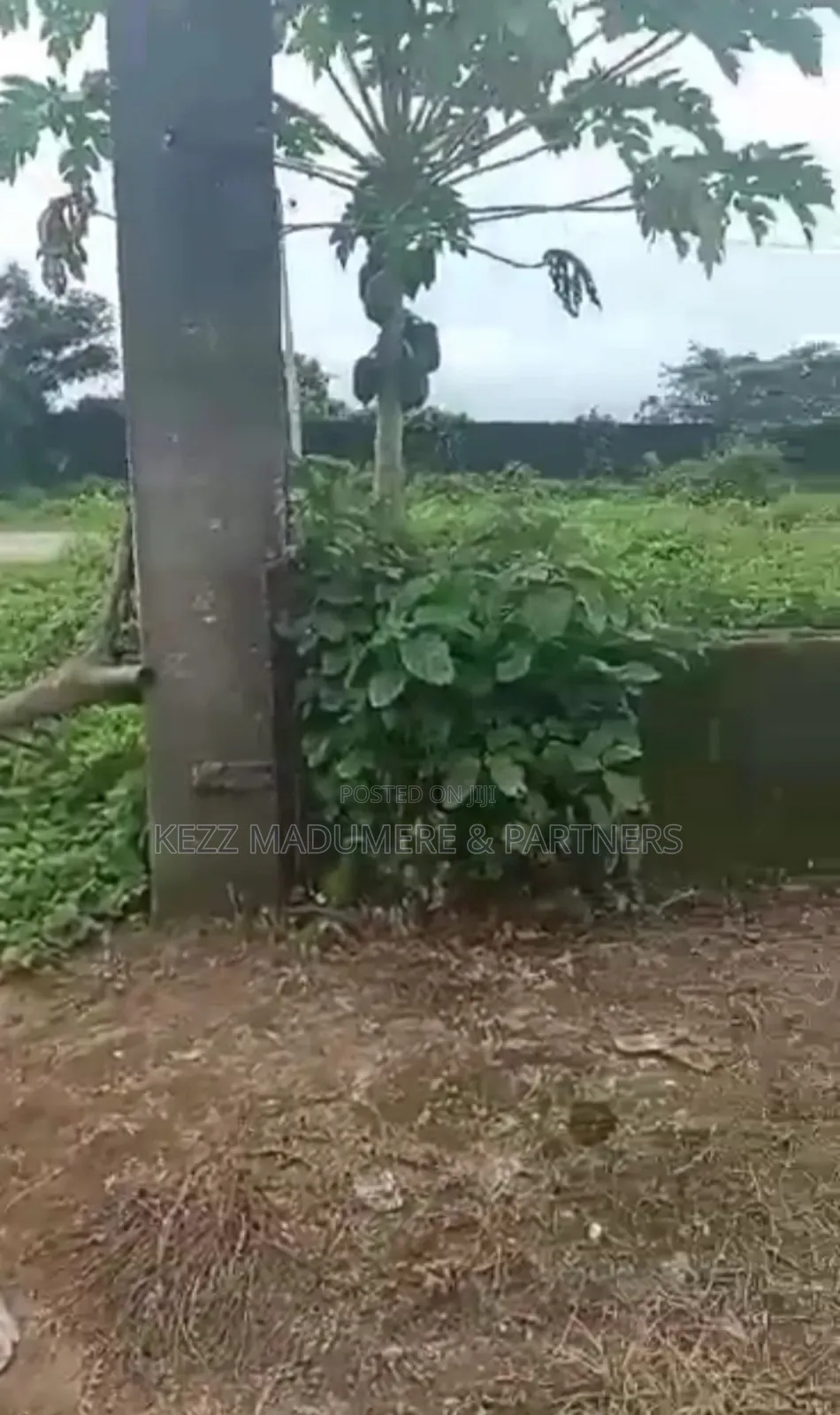For Sale : Dried Buy Build at Redeem Church Rd , Rukpokwu in Port-Harcourt