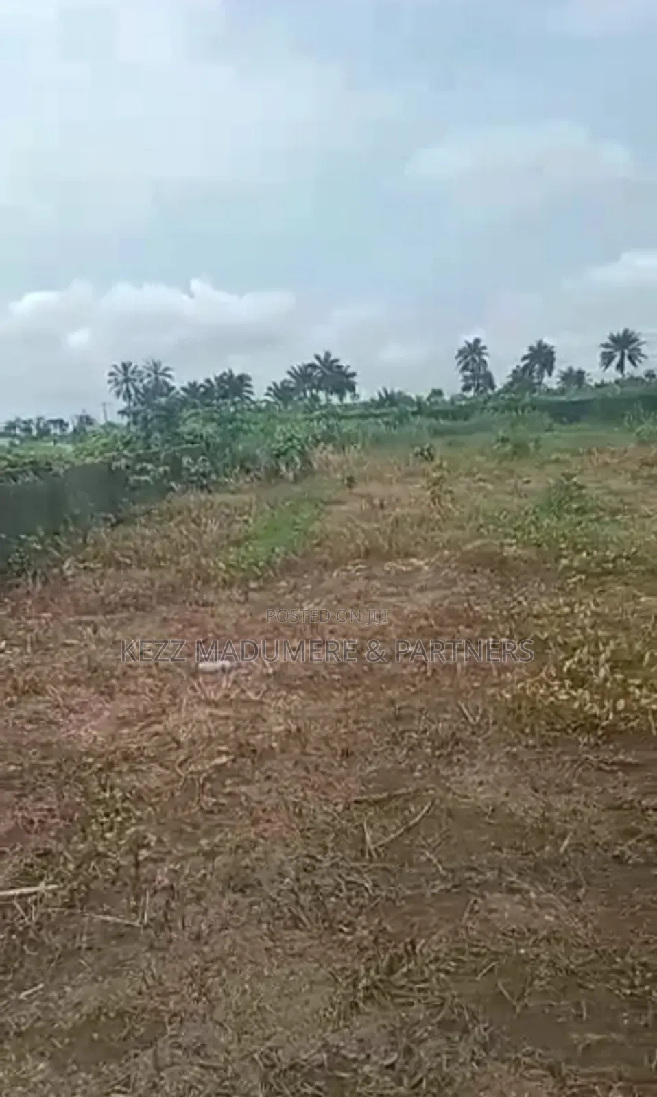 For Sale : Dried Buy Build at Redeem Church Rd , Rukpokwu in Port-Harcourt