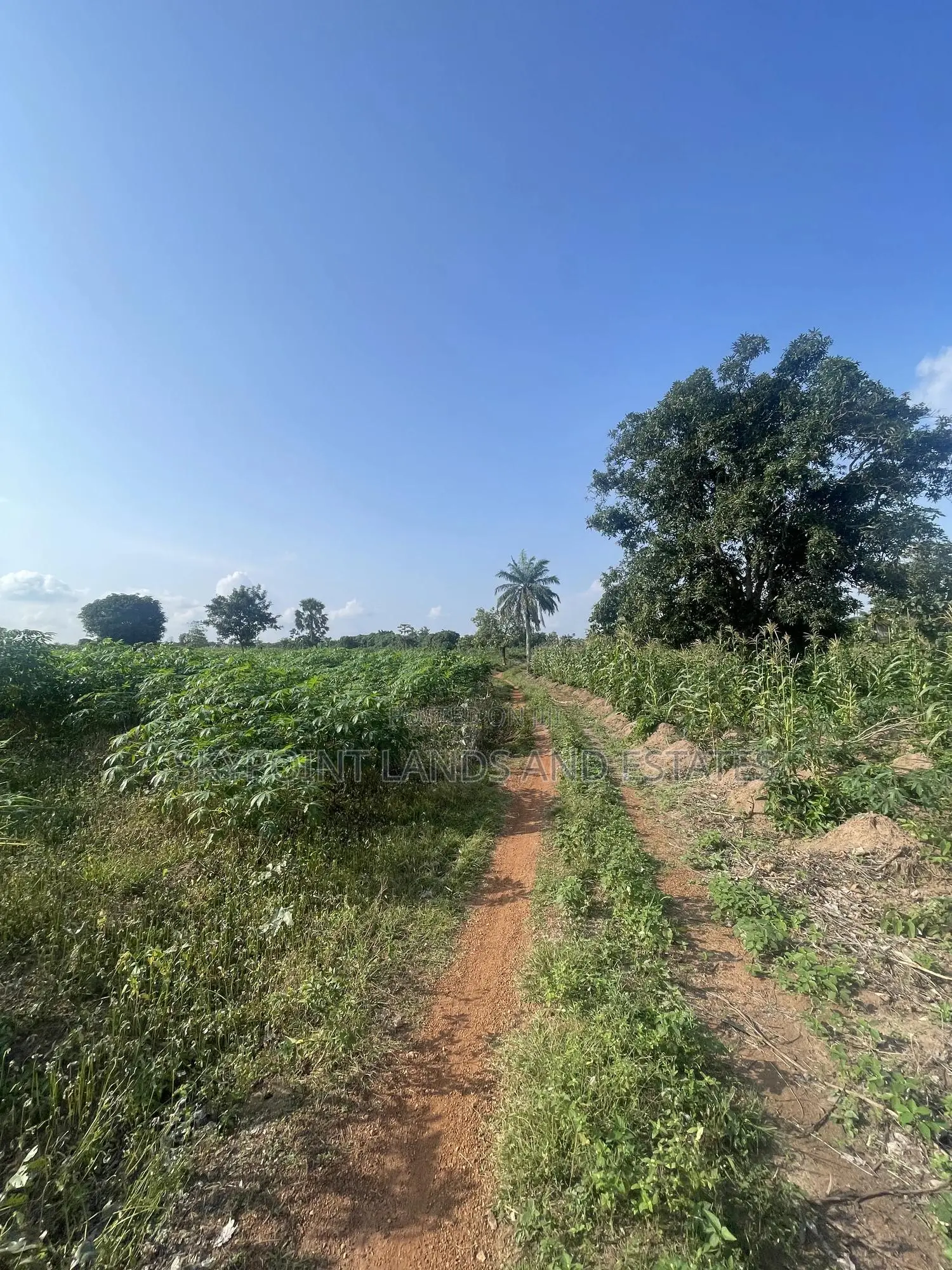 2,000 Acres of Land for Sale at Komu,Itesiwaju Lga Oyo State in Itesiwaju
