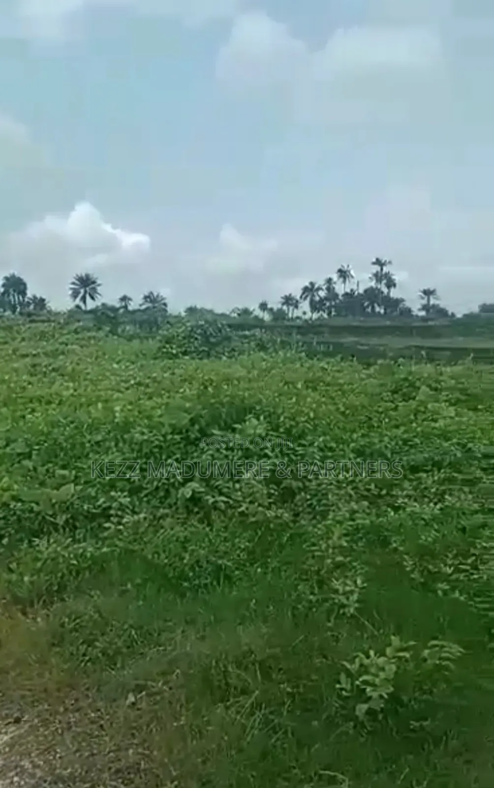 For Sale : 20 Plots on Eastwest Rd Near Jephthah College in Port-Harcourt