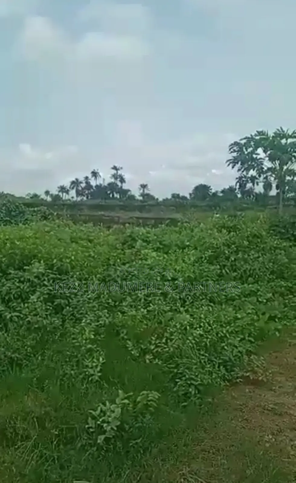 For Sale : 20 Plots on Eastwest Rd Near Jephthah College in Port-Harcourt