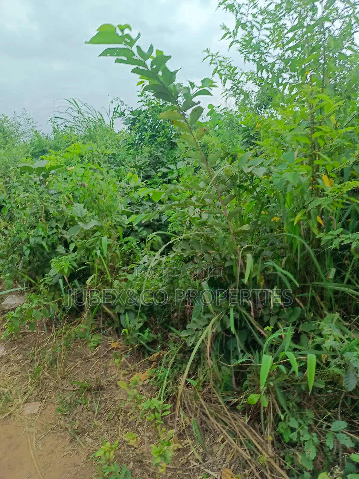Land for Sale at Alishiba Sango Ota in Ado-Odo/Ota