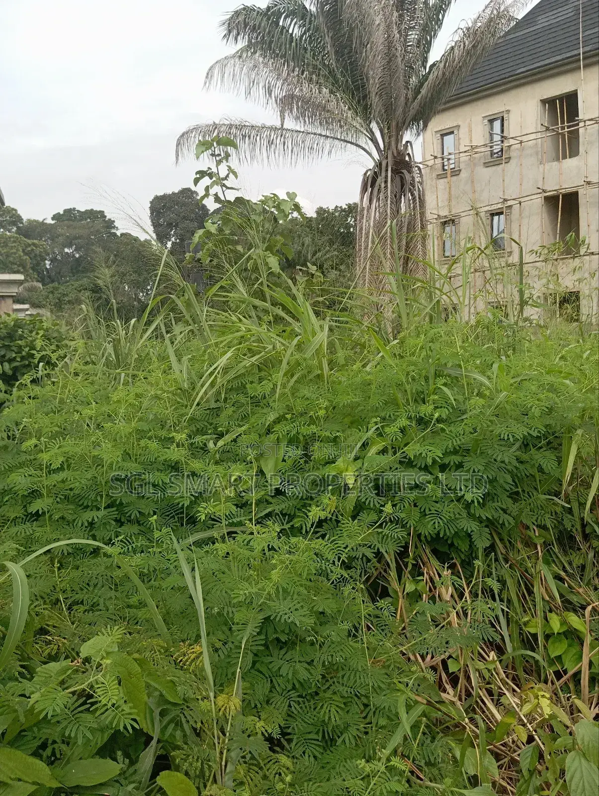 LAND for Sale at Nawfia in Awka